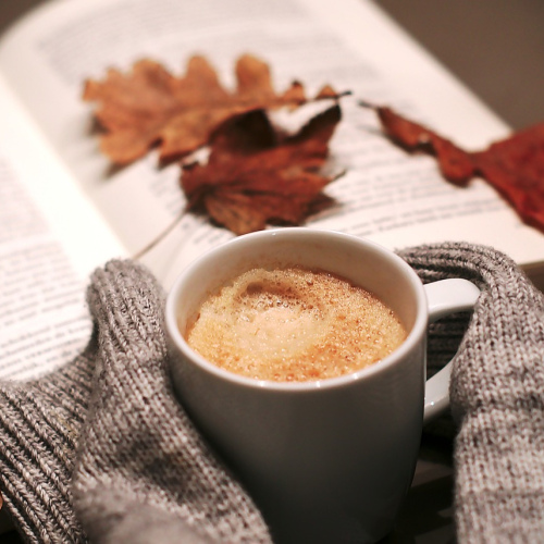 Cozy Knit Sweater